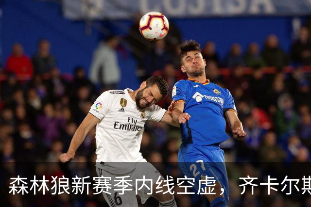 森林狼新赛季内线空虚，齐卡尔斯基需要抓住机会